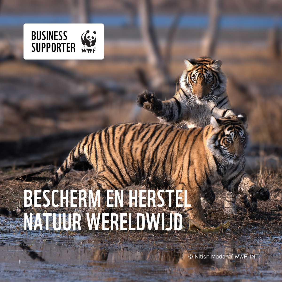 Business Supporter Wereld Natuur Fonds